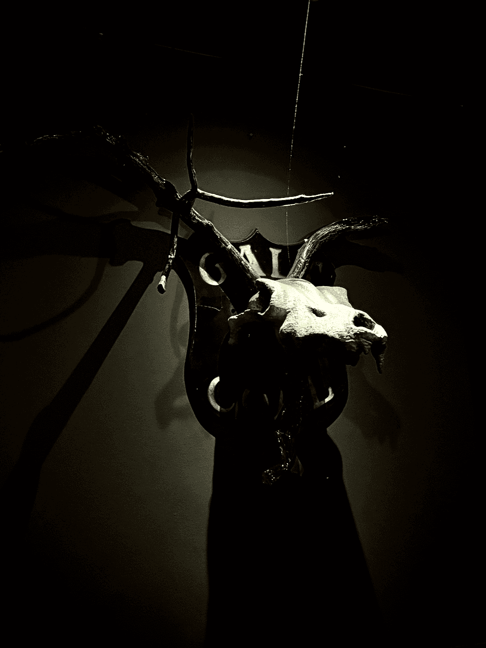 IMG 9039 (Slice Lethbridge)