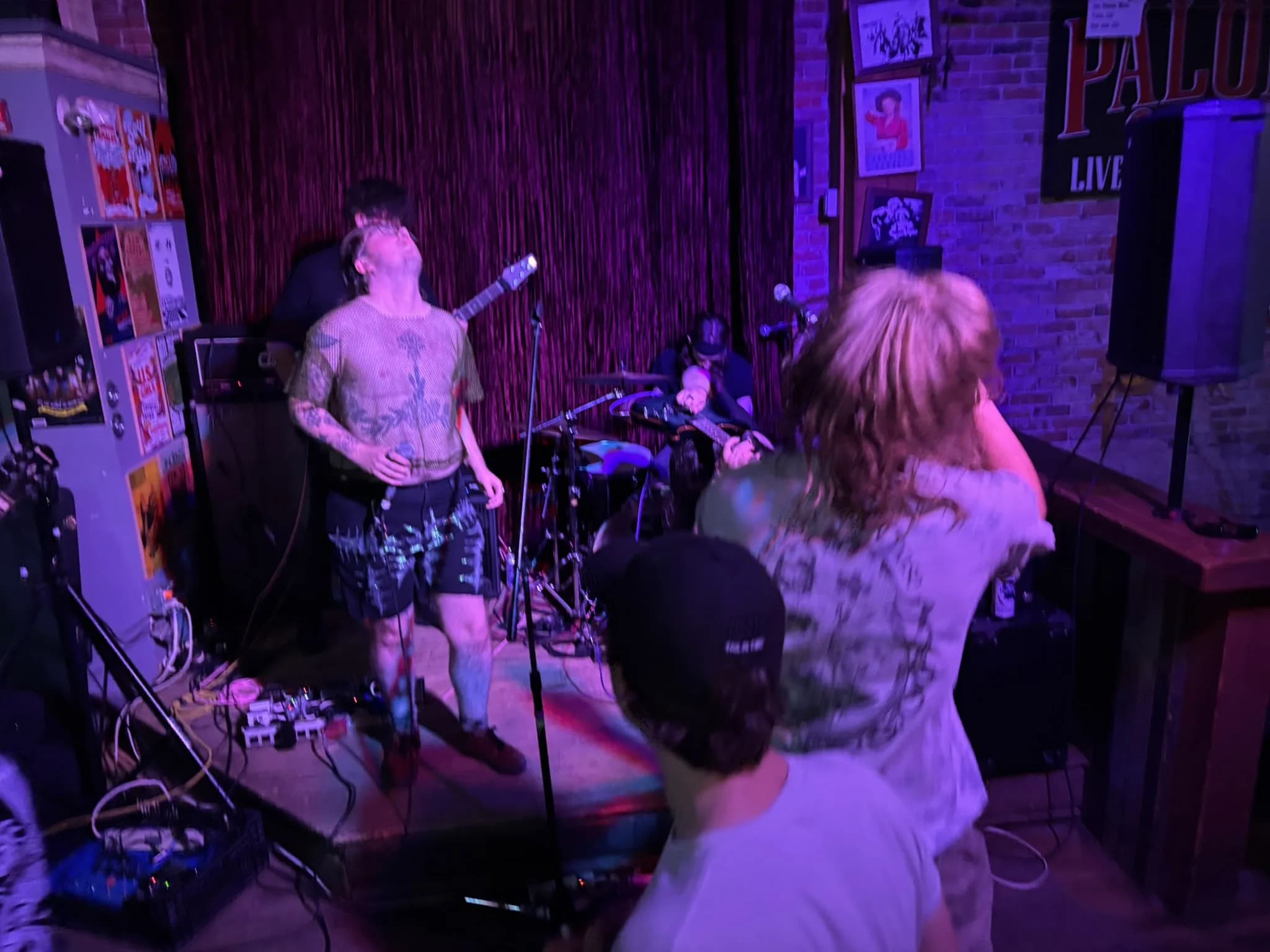 Img 1379 (Palomino Calgary Phreqed)